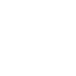 20 Public Murals