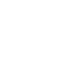 NYC & Mexico