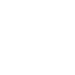 NYC Arizona & Mexico